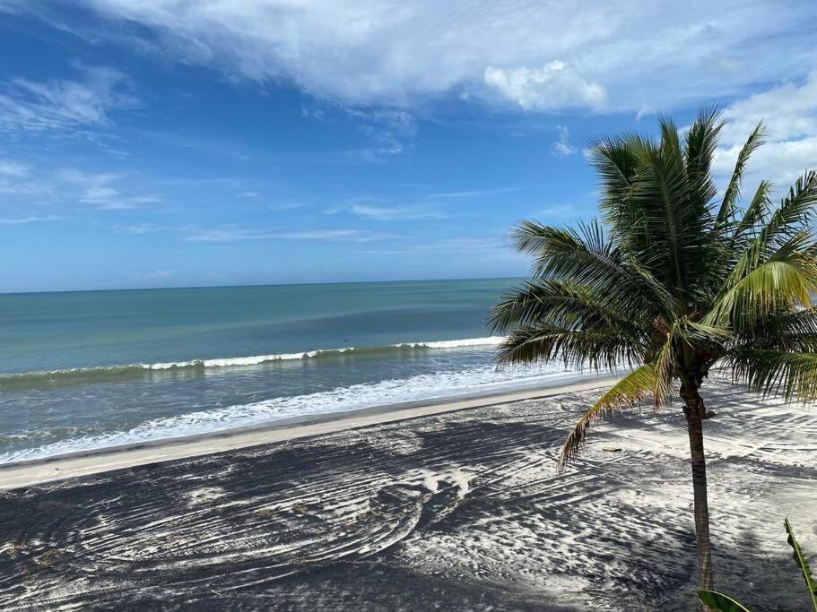 פלאייה קורונאדו Coronado Beachfront Tropical Home! מראה חיצוני תמונה