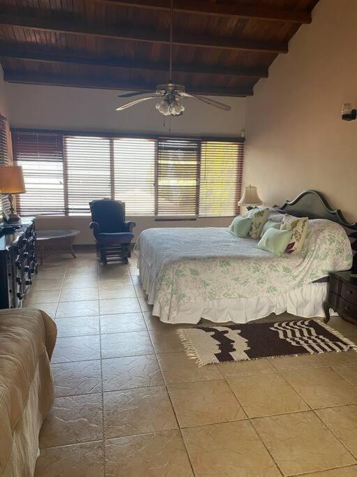 פלאייה קורונאדו Coronado Beachfront Tropical Home! מראה חיצוני תמונה